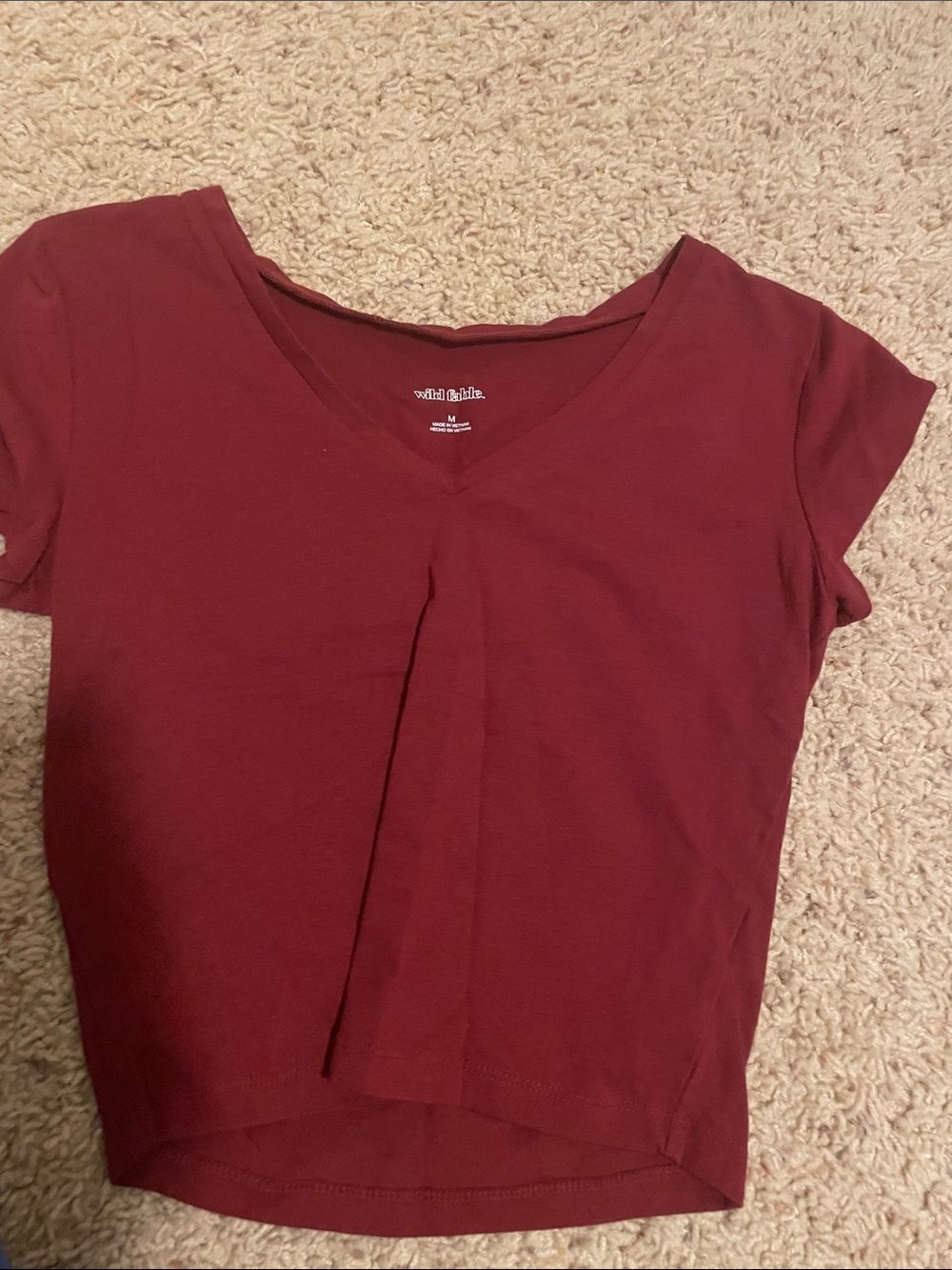 wild fable Burgundy V-Neck Crop Top